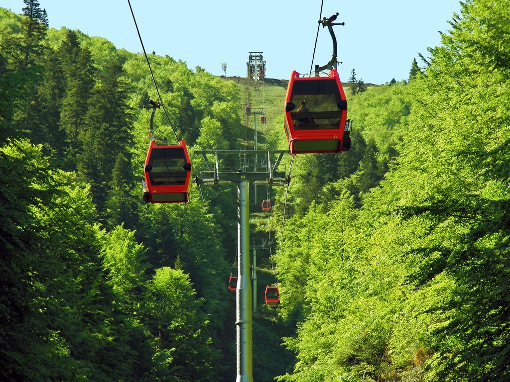 Azuga Ski&Bike Resort Kültér fotó